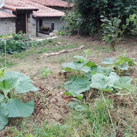De Soba Lavín