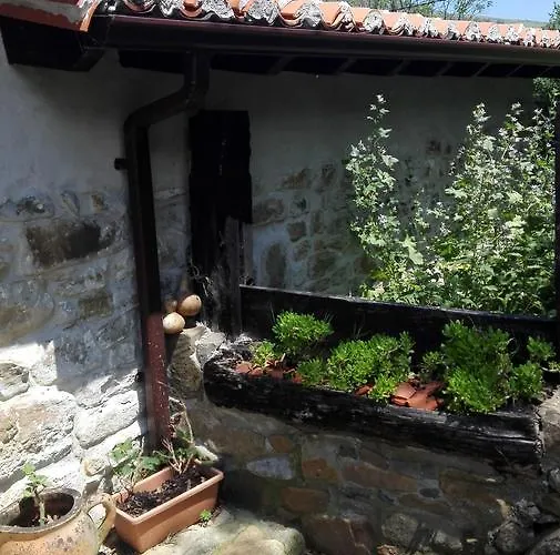 Хостел De Soba